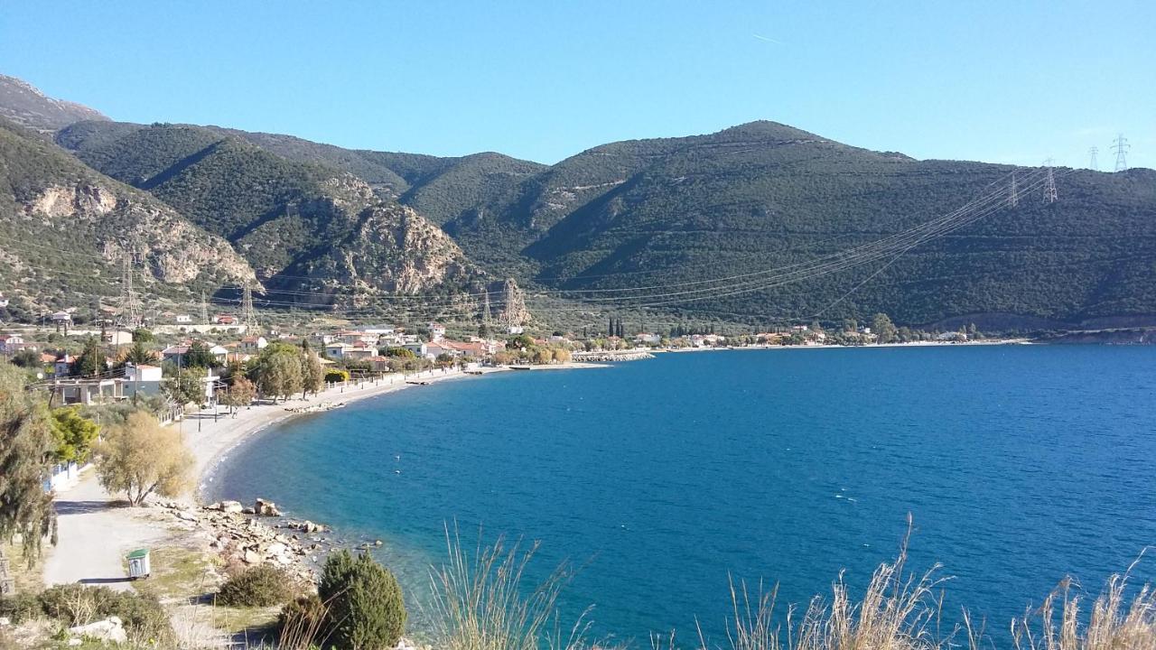 Margherita'S Holidays Home Agios Spyridon  エクステリア 写真