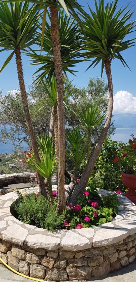 Margherita'S Holidays Home Agios Spyridon  エクステリア 写真